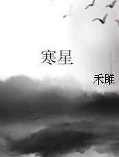 寒星txt下载