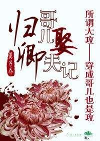 归卿-哥儿娶夫记txt下载