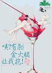 咦?有条金大腿让我抱txt下载