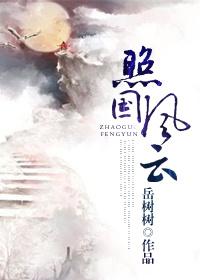 照国风云txt下载